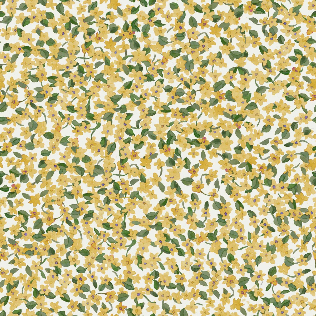 Ana wallpaper by Coordonné in Cúrcuma, flat pattern view