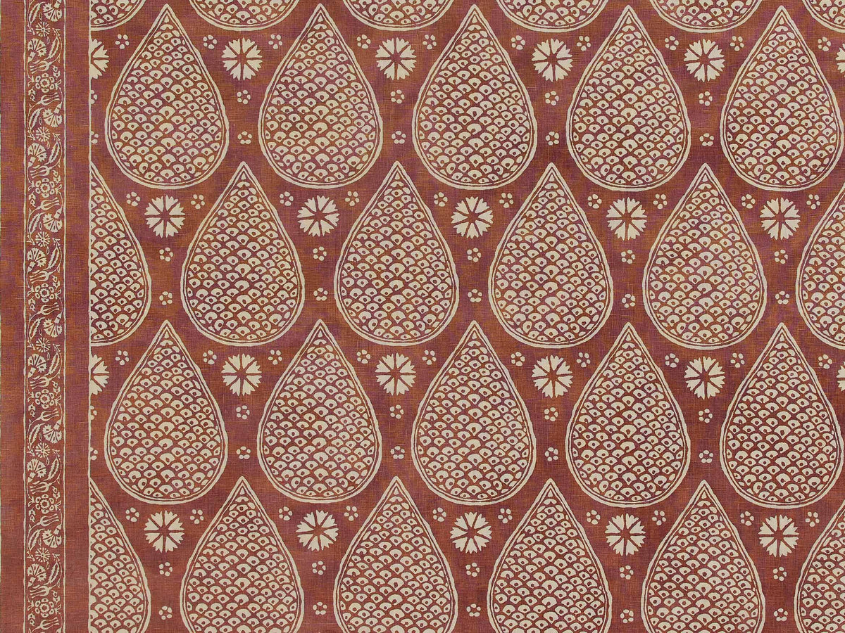 Anar Frangipani