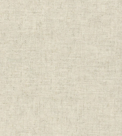 Trek Fabric by Andrew Martin Linen