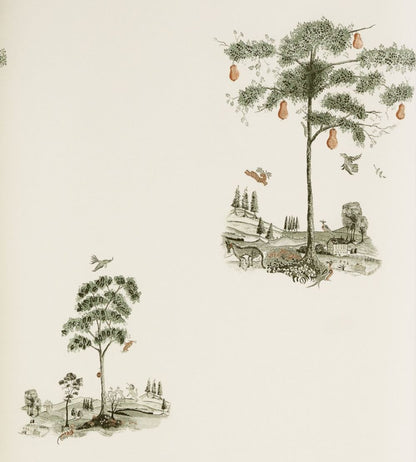Pear Tree Wallpaper by Andrew Martin Graphite