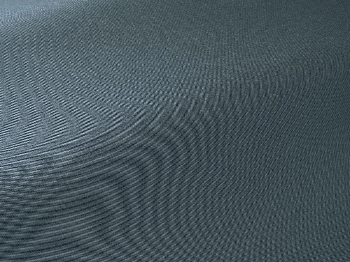 Anet Fabric by Pierre Frey in Ciel (F3756024)