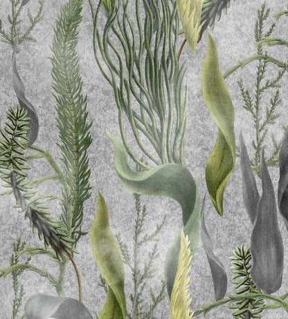 Aquatic Plants Wallpaper by MINDTHEGAP Grey