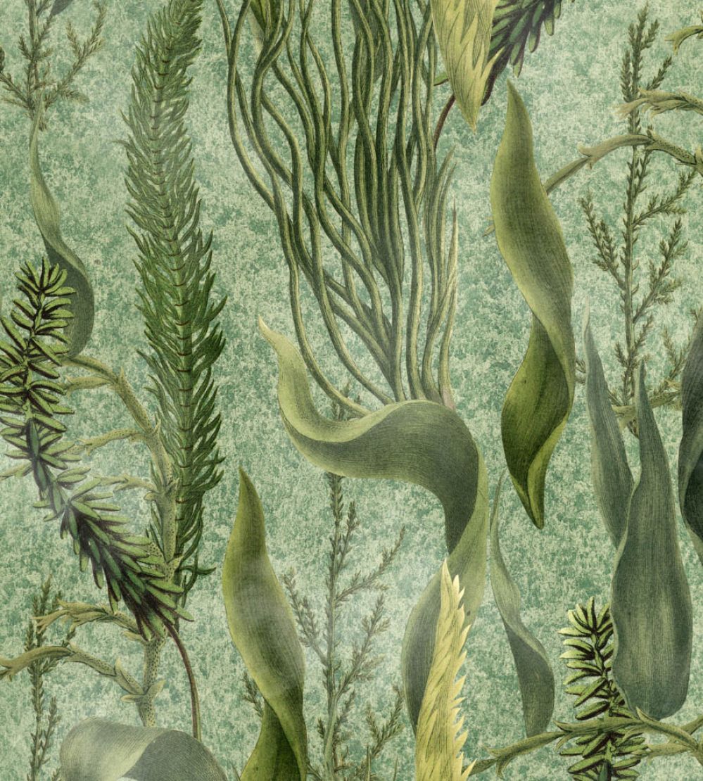 Aquatic Plants Wallpaper by MINDTHEGAP Green