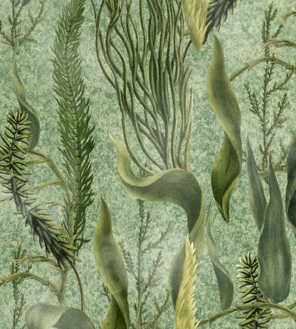 Aquatic Plants Wallpaper by MINDTHEGAP Green