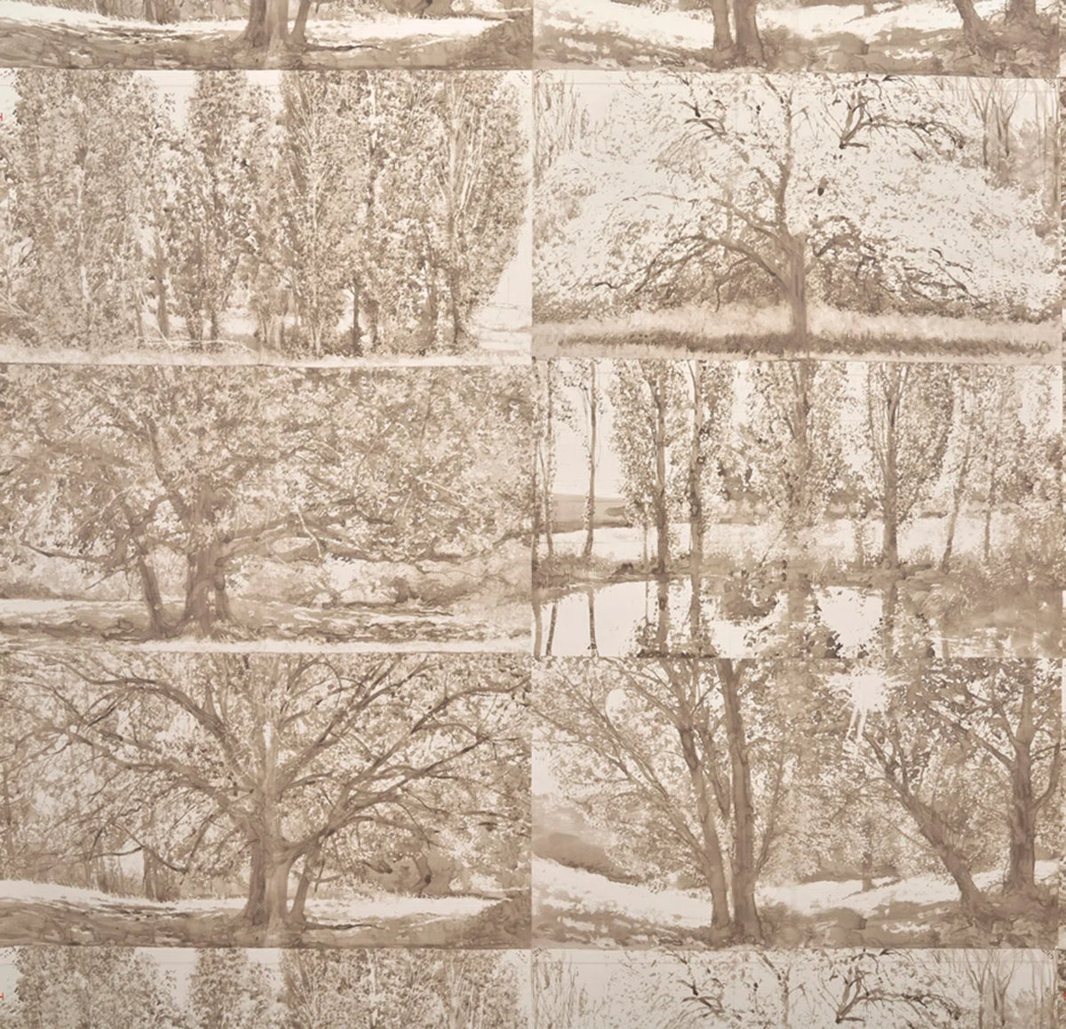 Arbres et Sous Bois Wallpaper by Pierre Frey in Bouleau (FP235001)