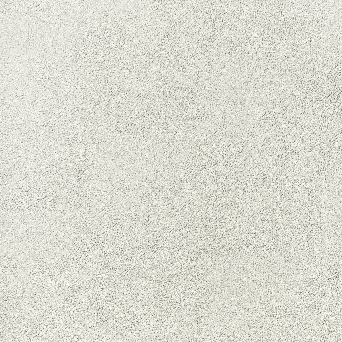 Arcata Fabric by Thibaut in Ivory (W78381)