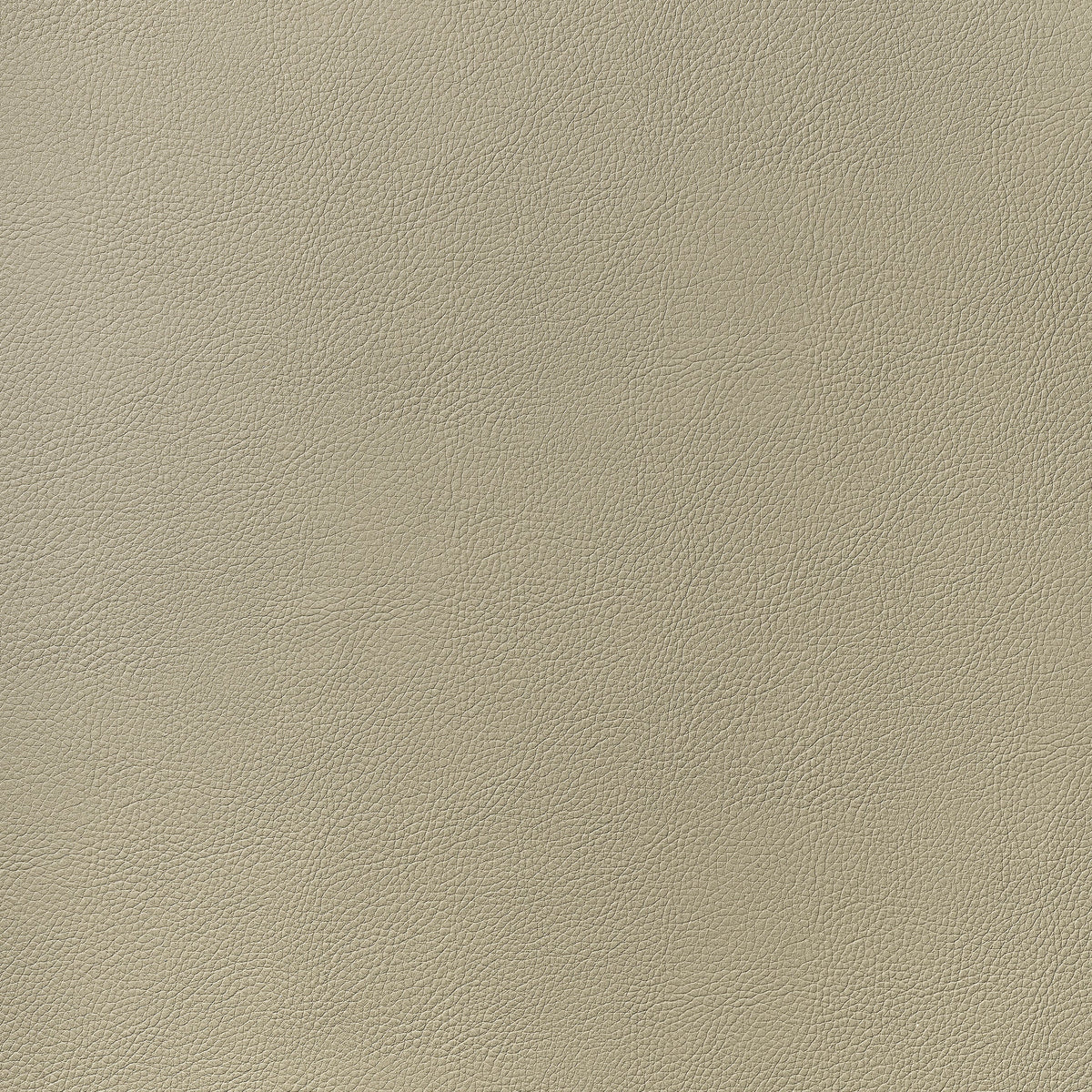 Arcata Fabric by Thibaut in Dune (W78383)