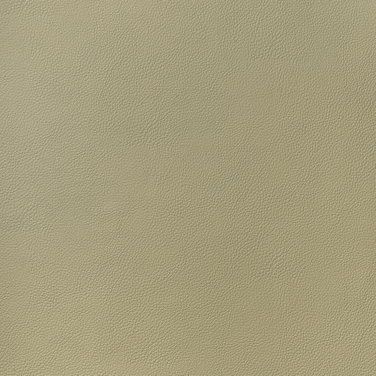 Arcata Fabric by Thibaut in Twig (W78385)