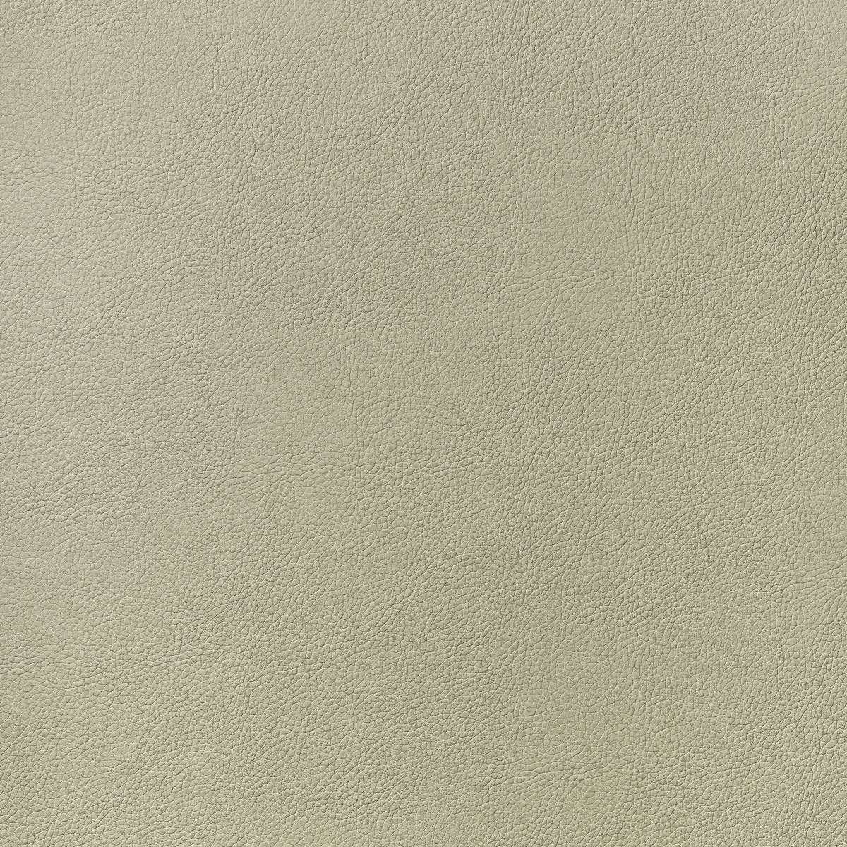 Arcata Fabric by Thibaut in Oat (W78386)