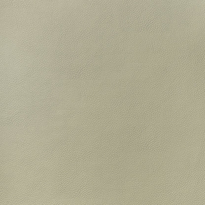 Arcata Fabric by Thibaut in Oat (W78386)