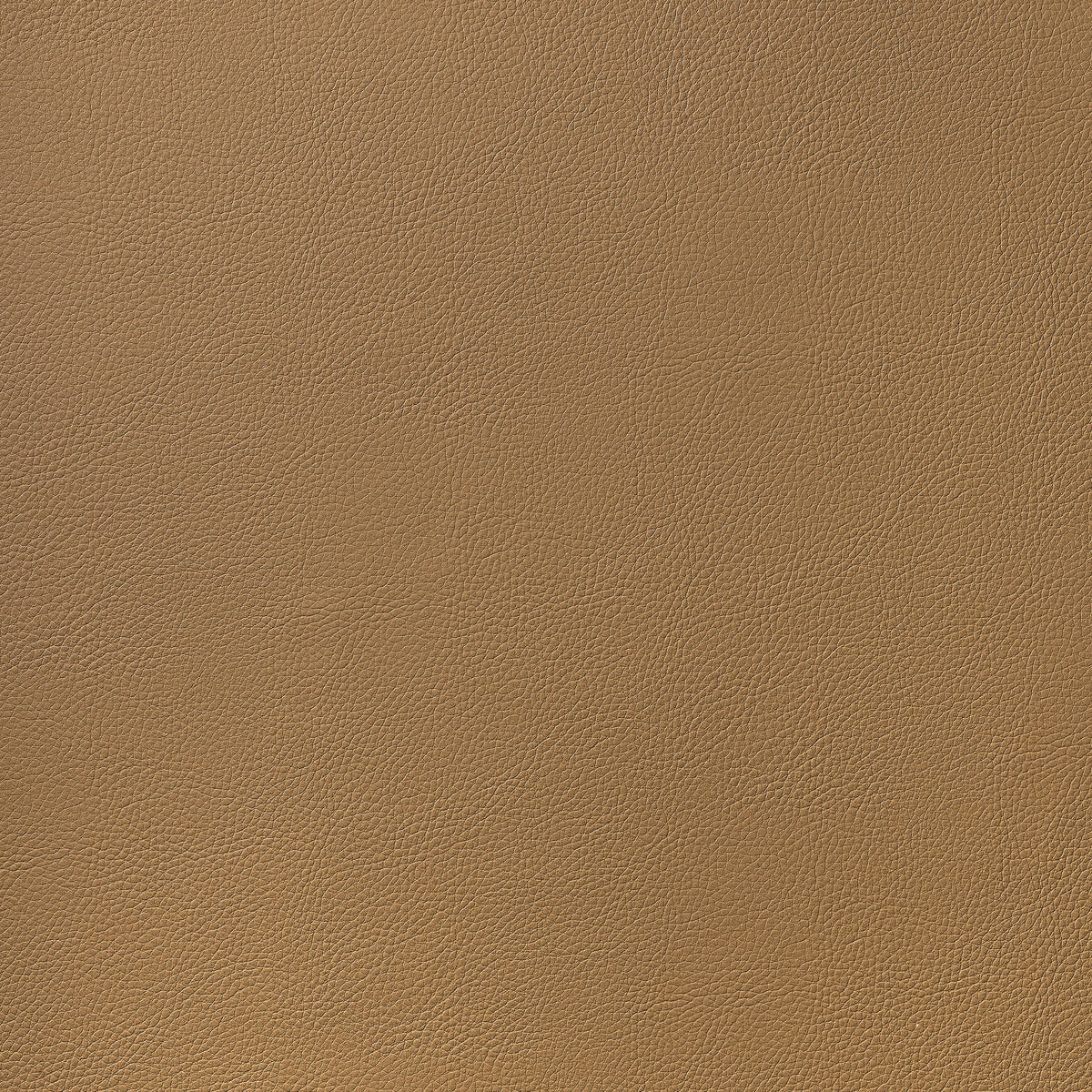 Arcata Fabric by Thibaut in Saddle (W78393)