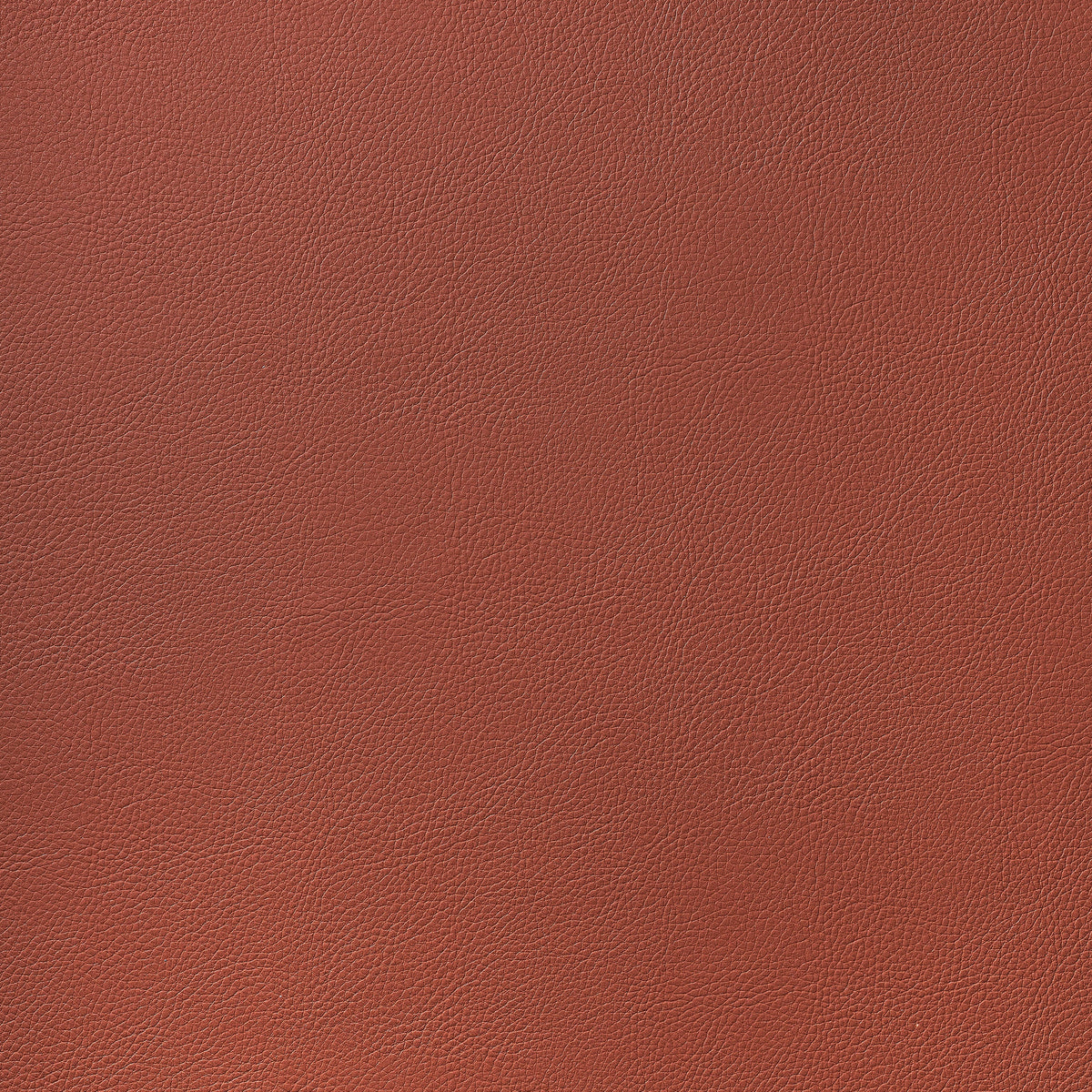 Arcata Fabric by Thibaut in Brick (W78394)