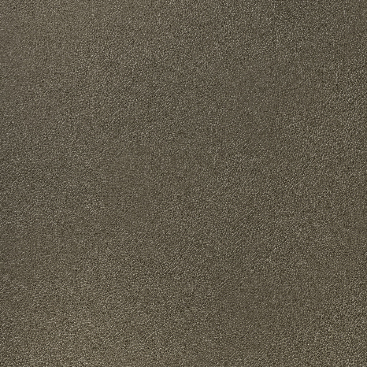 Arcata Fabric by Thibaut in Hickory (W78396)