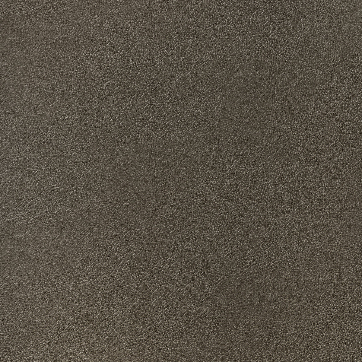 Arcata Fabric by Thibaut in Bark (W78397)