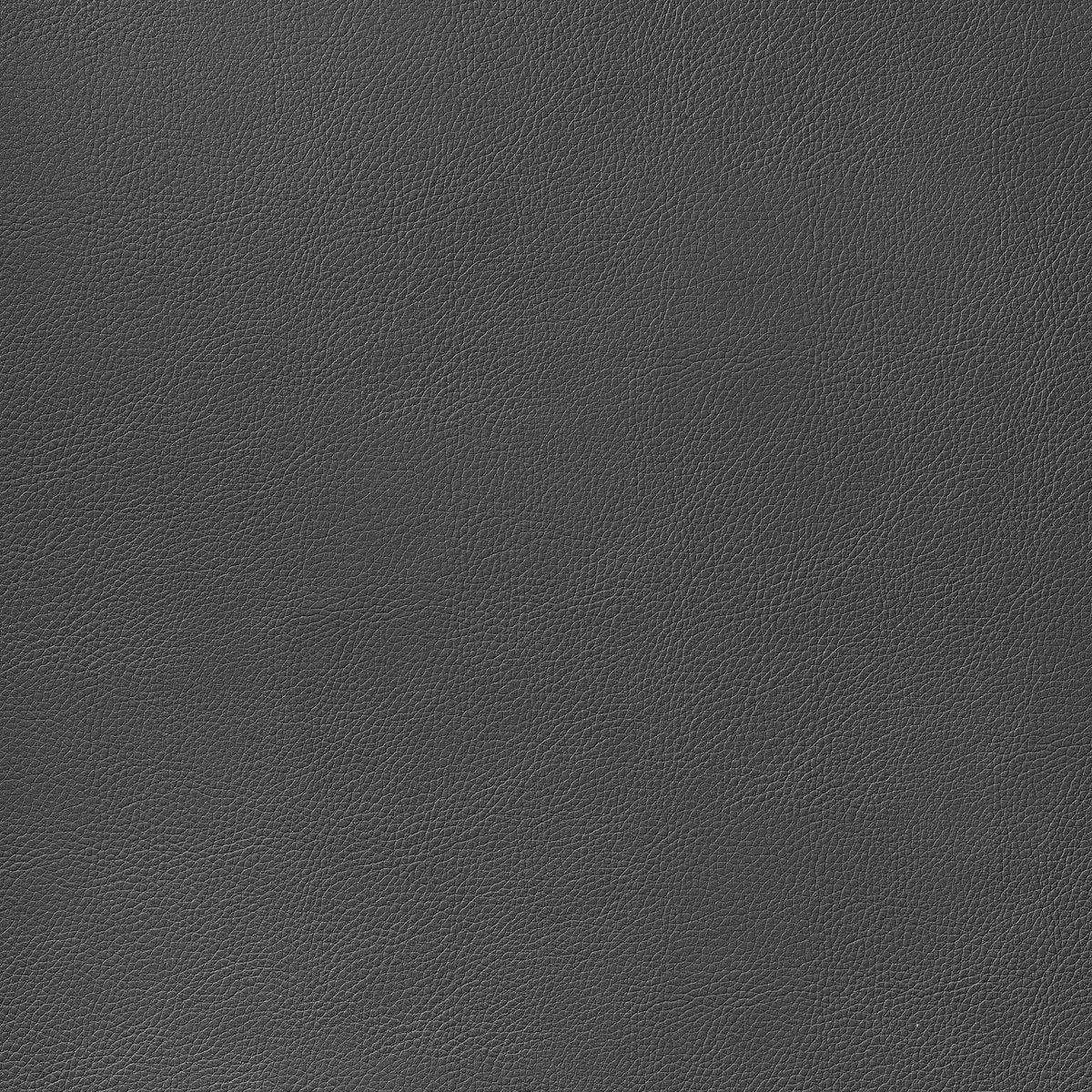 Arcata Fabric by Thibaut in Charcoal (W78398)