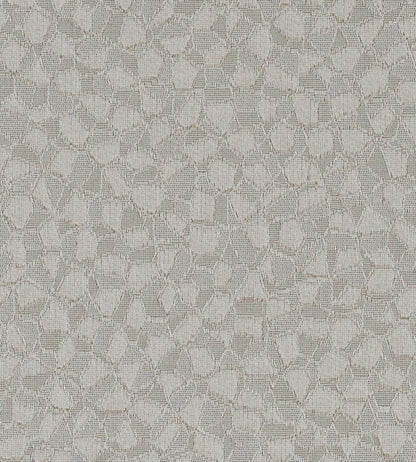 Argento Silk Fabric by James Hare Pearl