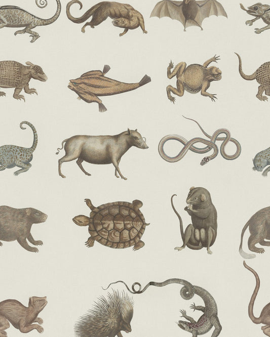 Ark of Seba Taupe, Grey wallpaper by MINDTHEGAP