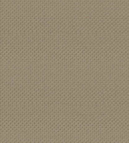 Pantheon Wallpaper by Armani Casa 9241
