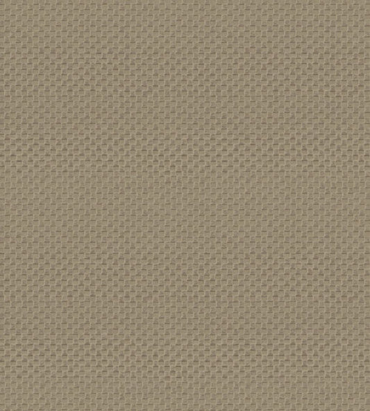 Pantheon Wallpaper by Armani Casa 9241