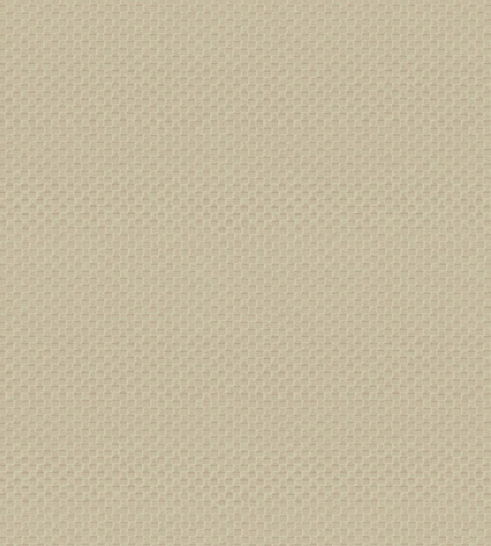 Pantheon Wallpaper by Armani Casa 9242