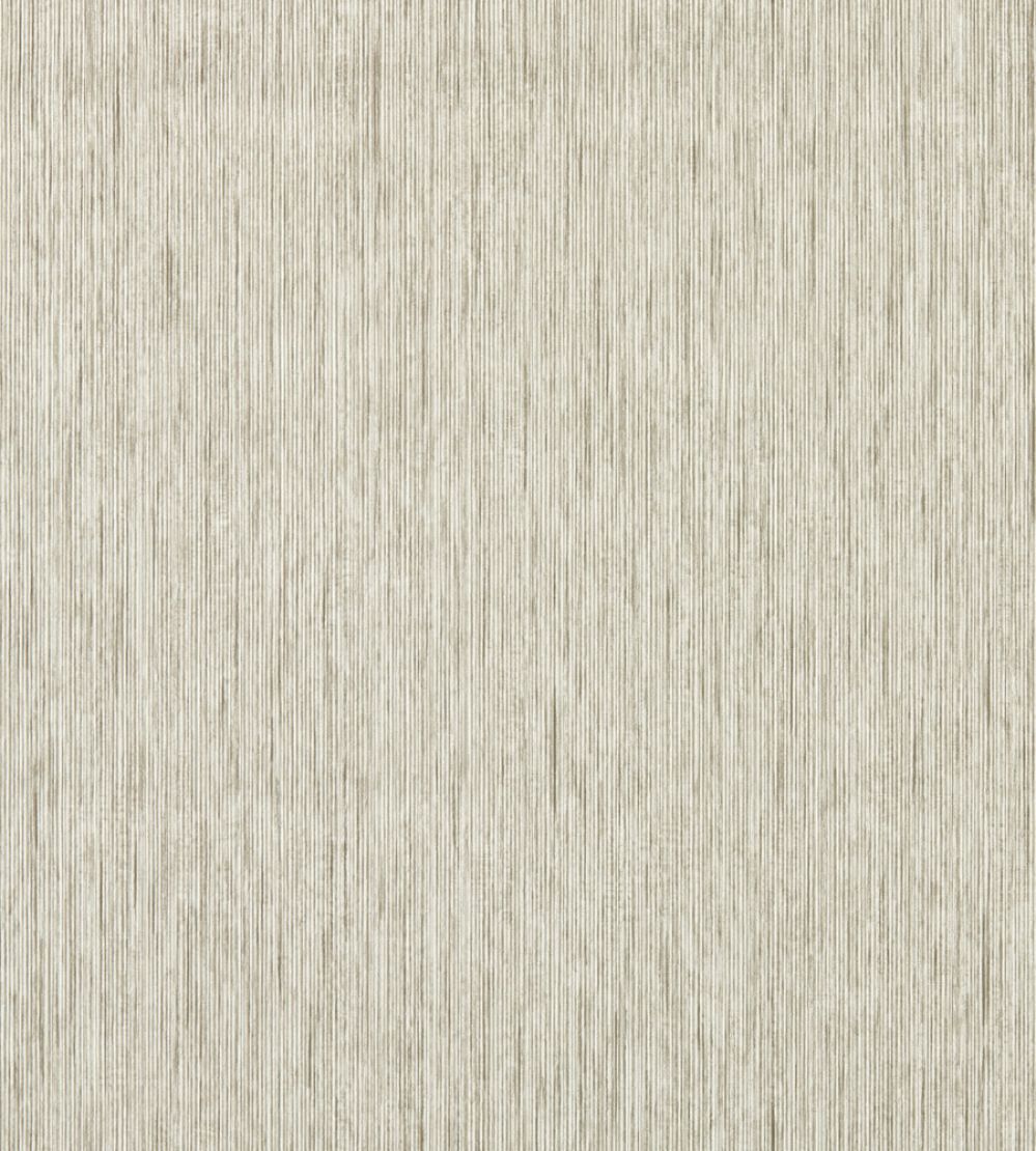 Asper Wallpaper by Clarke & Clarke Putty