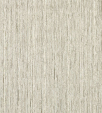 Asper Wallpaper by Clarke & Clarke Putty