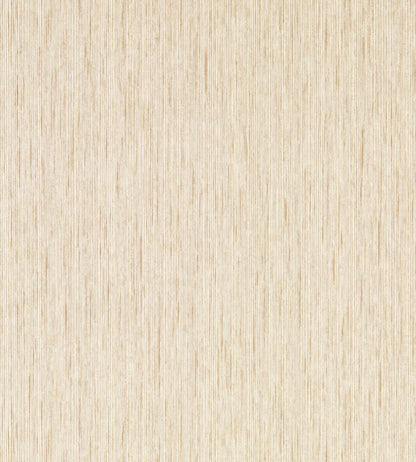 Asper Wallpaper by Clarke & Clarke Sahara