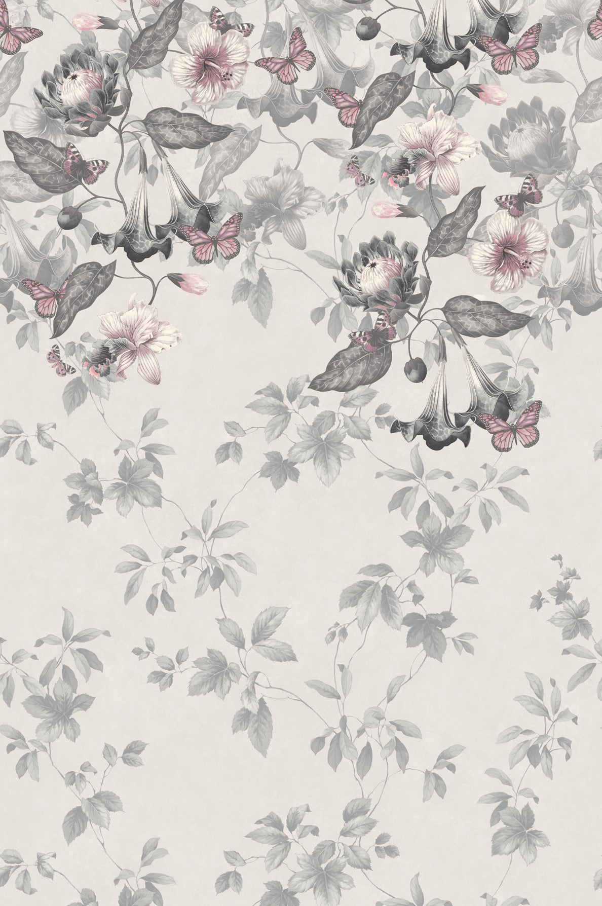 Asterid mural by Little Greene in Nightshade