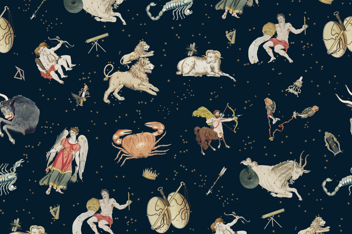 Astrology Navy mural by Hovia