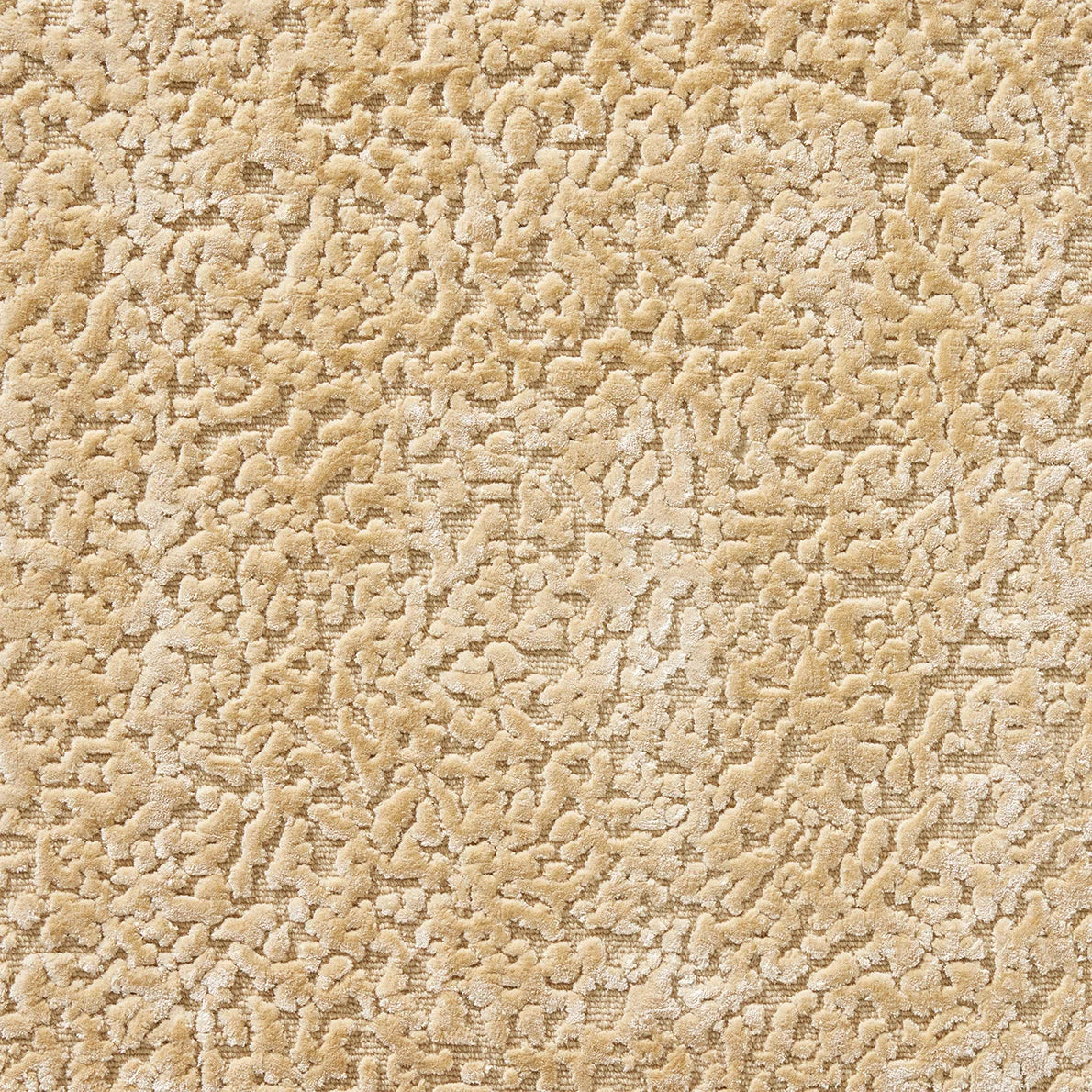 Atlas Rug by Pierre Frey in Beige (FT106001)
