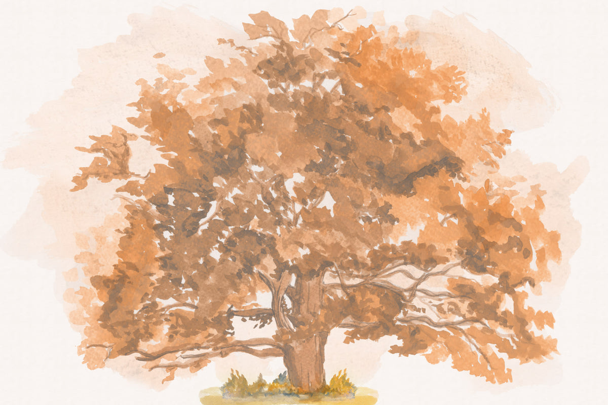 Autumn Leaves Neutral mural by Hovia