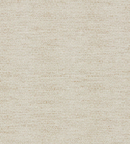 Aveiro Fabric by Clarke & Clarke Natural