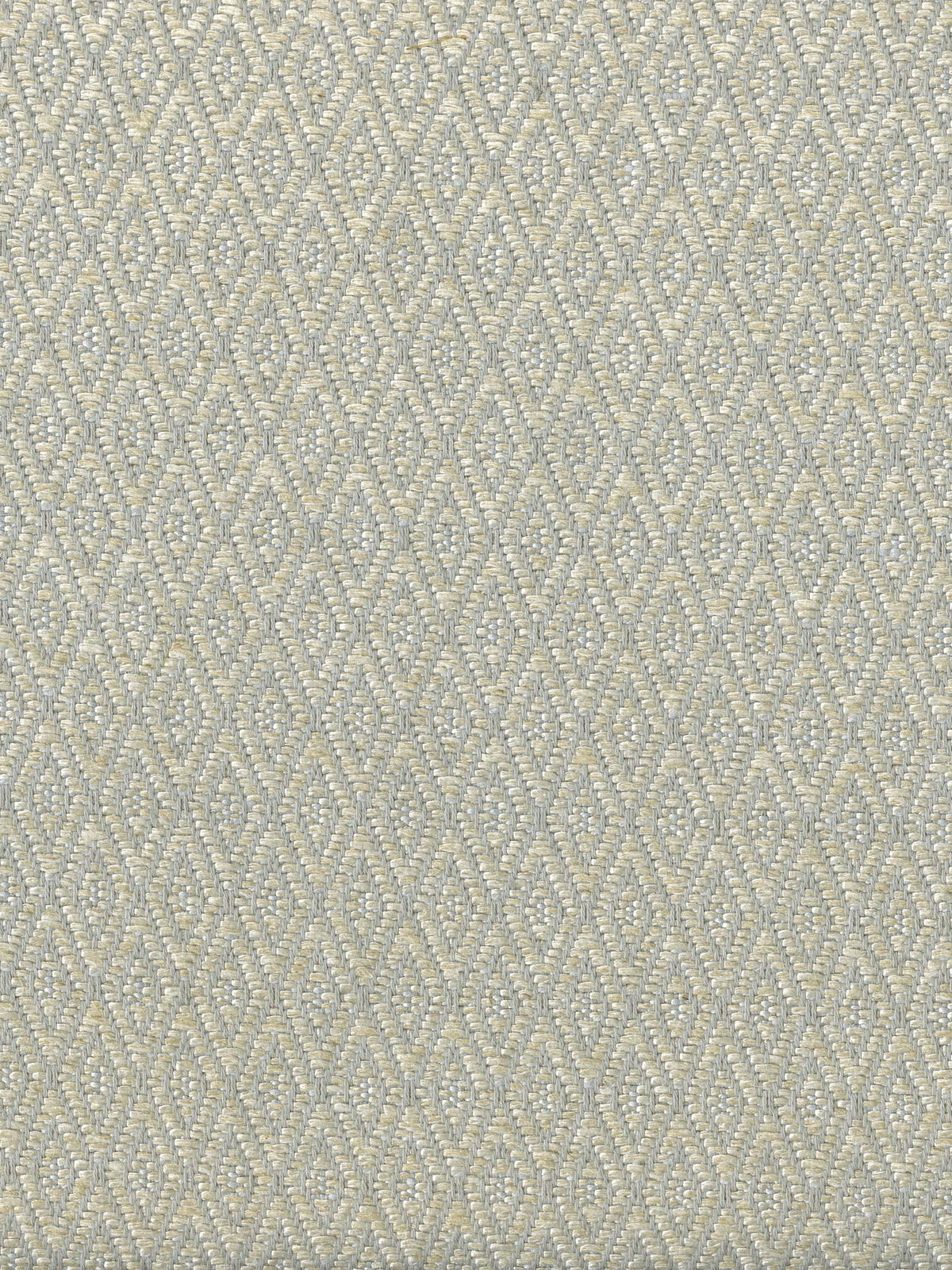 Papillon Fabric by Holland & Sherry in Chrome