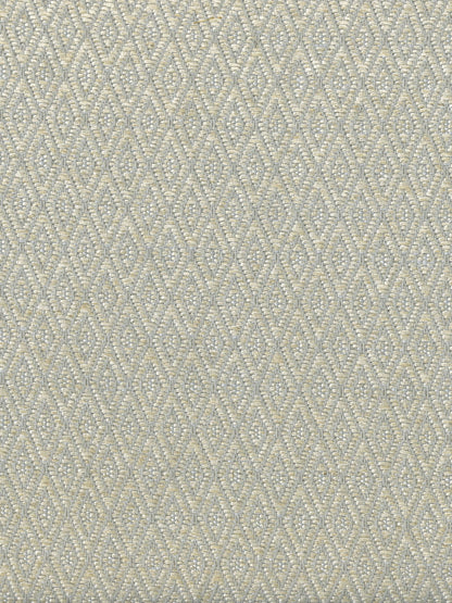 Papillon Fabric by Holland & Sherry in Chrome