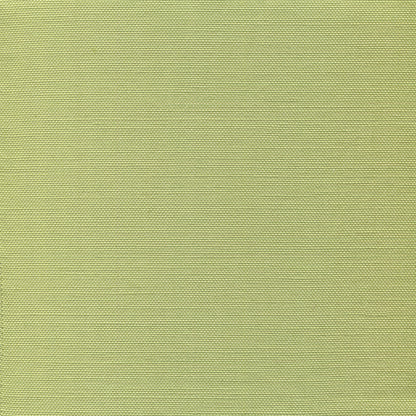 Bahama Cloth II Medium Celadon fabric by Quadrille