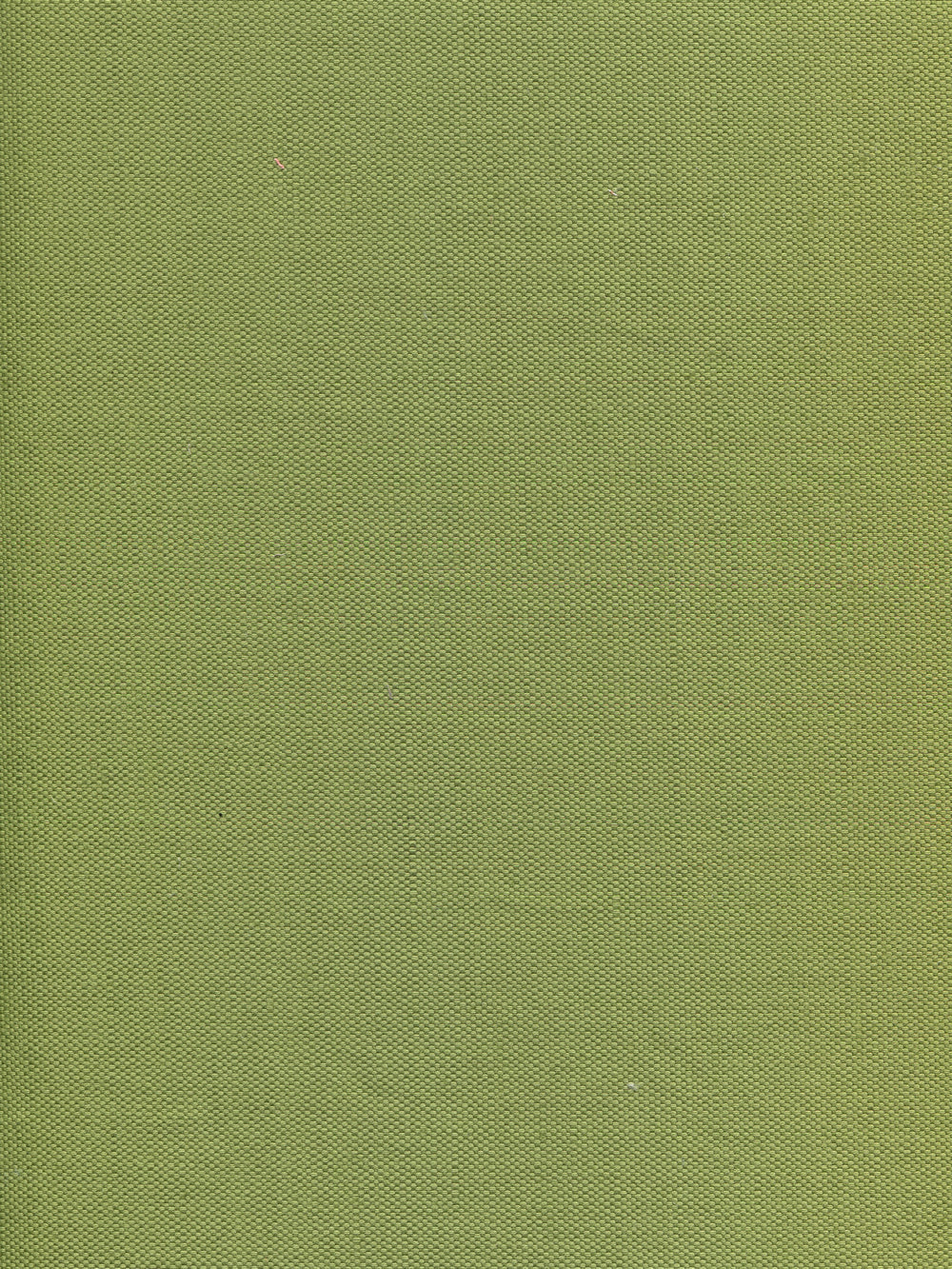 Bahama Cloth II Jungle Green fabric by Quadrille