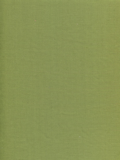 Bahama Cloth II Jungle Green fabric by Quadrille