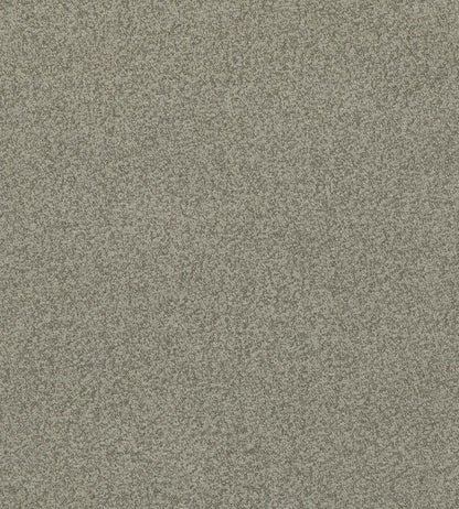 Baker House Boucle Fabric by GP & J Baker Dove