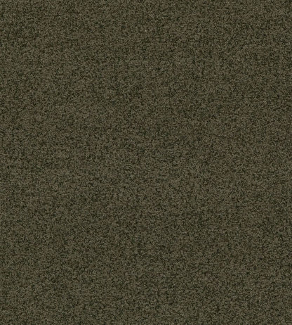 Baker House Boucle Fabric by GP & J Baker Forest