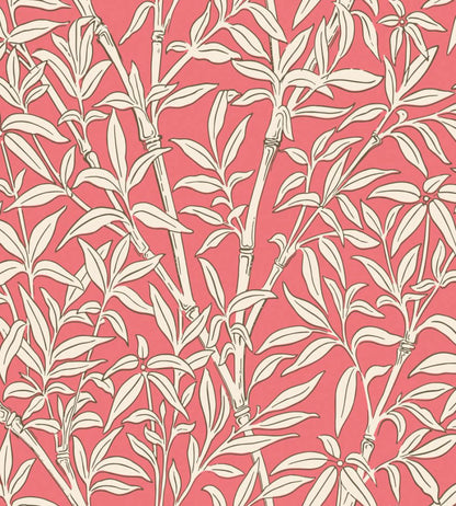 Bamboo Forest Wallpaper by Cole & Son Chalk on Rouge