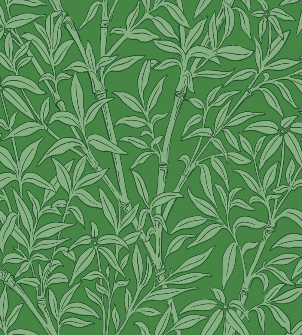 Bamboo Forest Wallpaper by Cole & Son Emerald