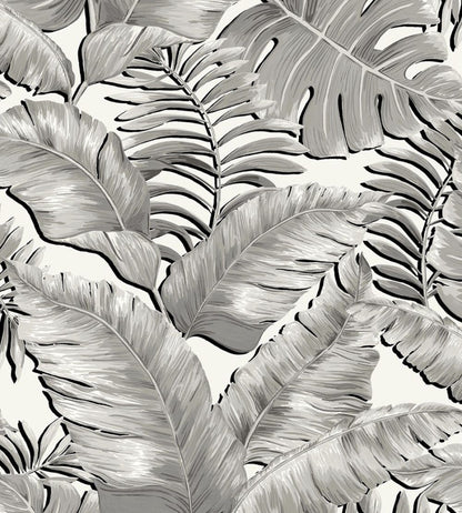 Banana Leaves Wallpaper by Brand McKenzie Black / White