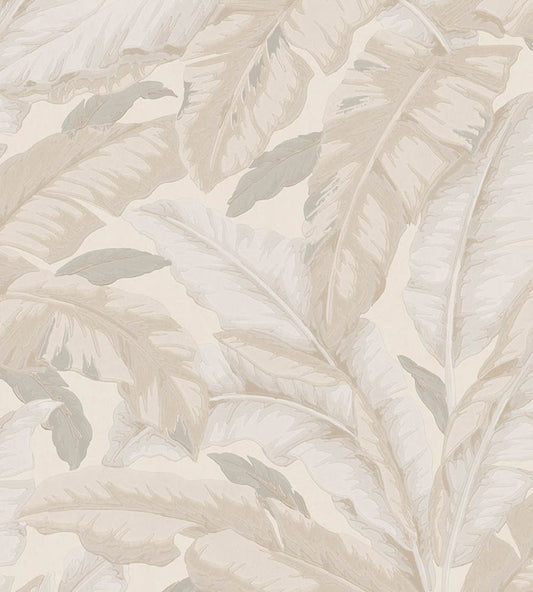 Banane Wallpaper by Jannelli&Volpi Greige