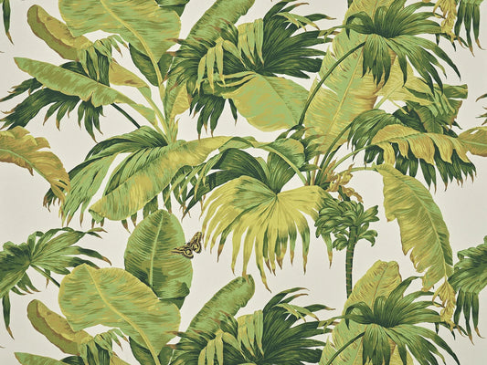 Bananier Fabric by Pierre Frey in Olive (F3719001)