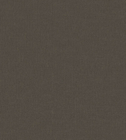 Baobab Wallpaper by Jannelli&Volpi Black