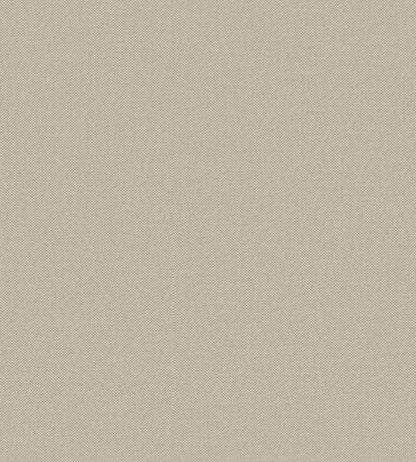 Baobab Wallpaper by Jannelli&Volpi Greige