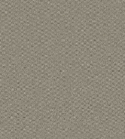 Baobab Wallpaper by Jannelli&Volpi Grey