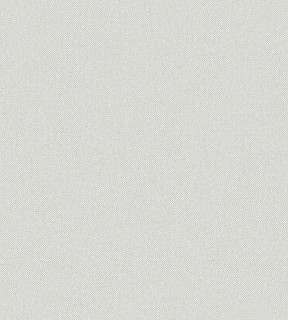 Baobab Wallpaper by Jannelli&Volpi Light Grey