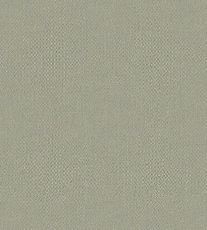 Baobab Wallpaper by Jannelli&Volpi Medium Grey