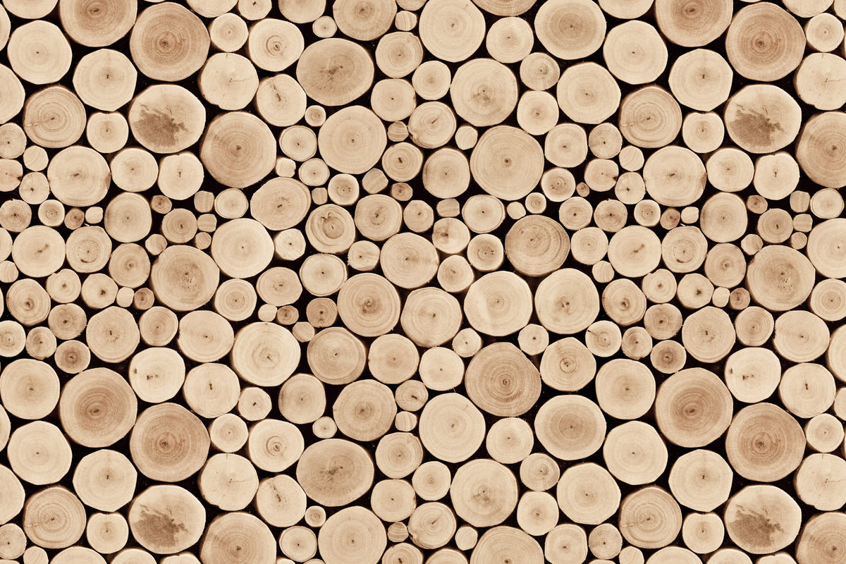 Bark Brown mural by Hovia